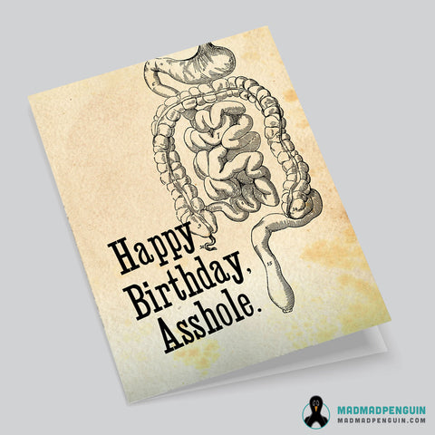 BIRTHDAY ASSHOLE (4.25x5.5 greeting card with envelope)