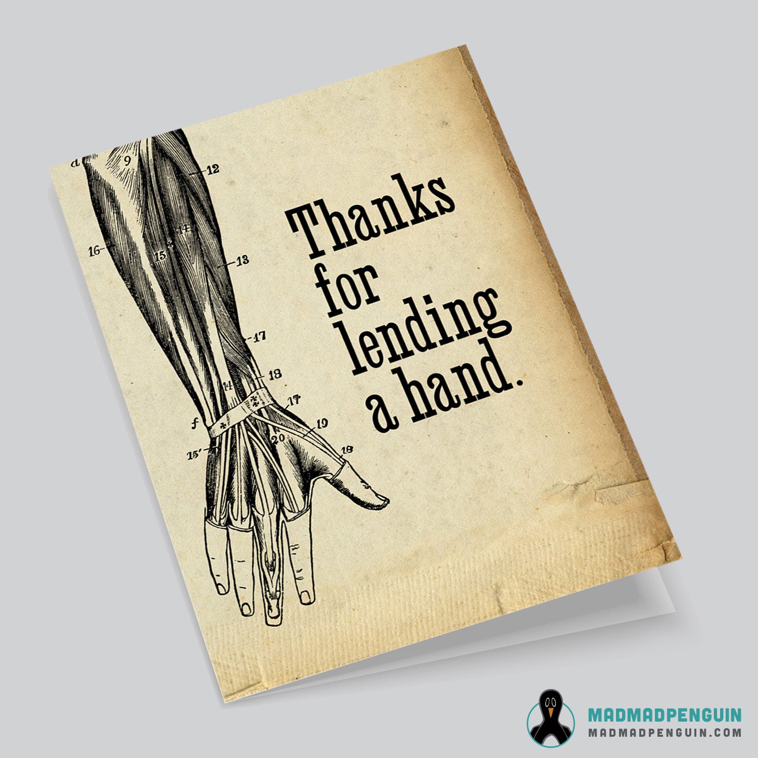 THANKS (4.25x5.5 greeting card with envelope)