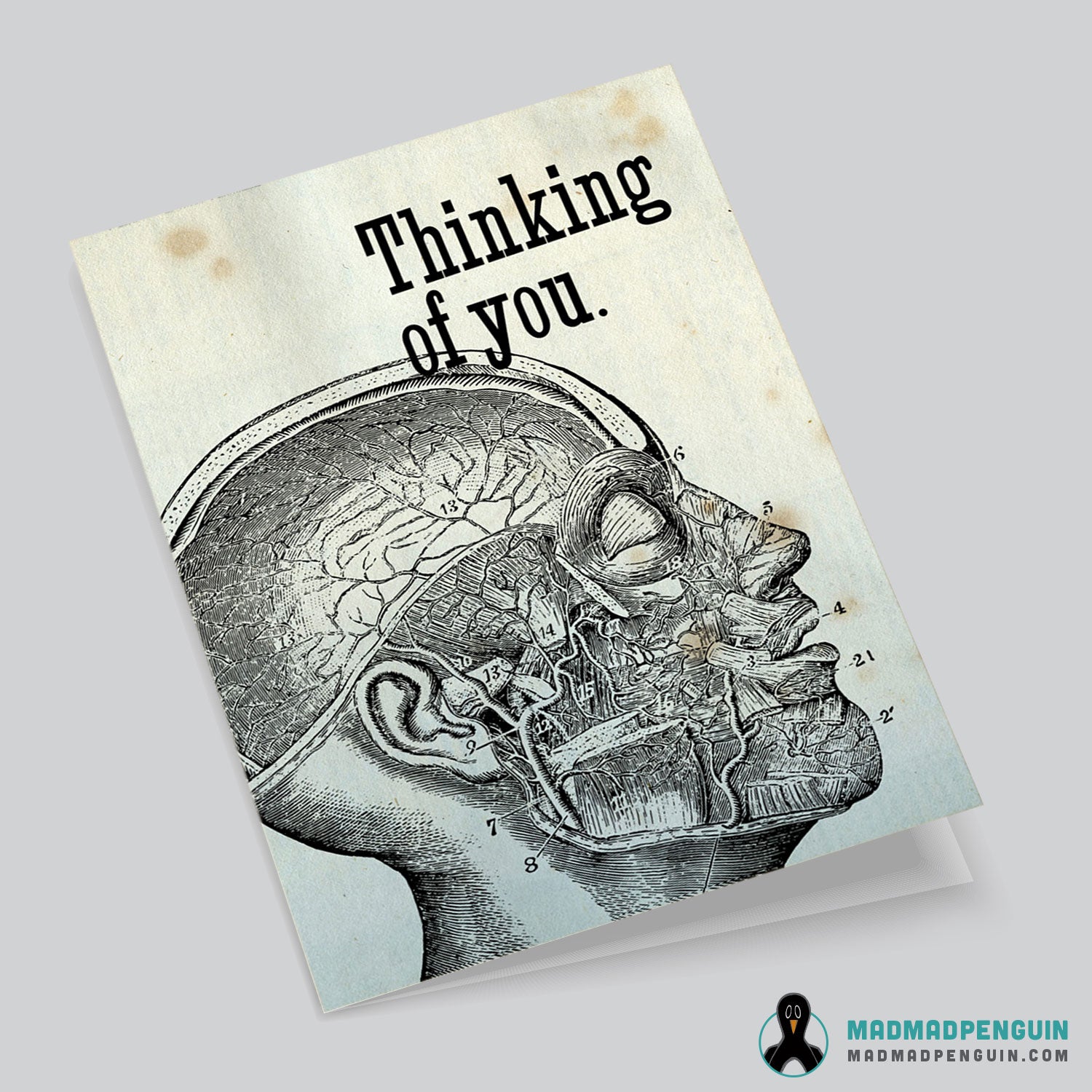 THINKING OF YOU (4.25x5.5 greeting card with envelope)